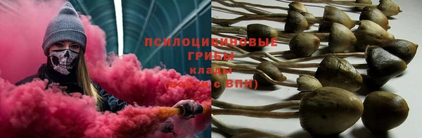 ПСИЛОЦИБИНОВЫЕ ГРИБЫ Михайловск