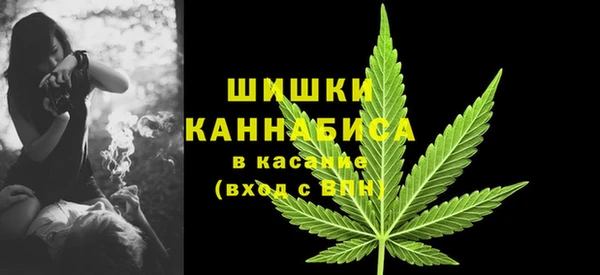 ПСИЛОЦИБИНОВЫЕ ГРИБЫ Михайловск