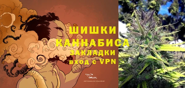 ПСИЛОЦИБИНОВЫЕ ГРИБЫ Михайловск