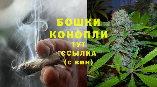 ПСИЛОЦИБИНОВЫЕ ГРИБЫ Михайловск