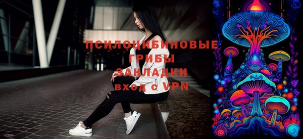ПСИЛОЦИБИНОВЫЕ ГРИБЫ Михайловск