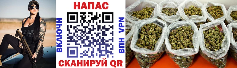 Канабис OG Kush  Купить  Ливны 
